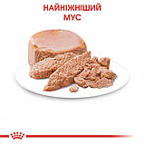 Влажный корм для новорожденных котят Royal Canin Mother & Babycat Cans 195 г, фото 5