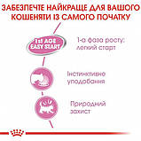 Влажный корм для новорожденных котят Royal Canin Mother & Babycat Cans 195 г, фото 3