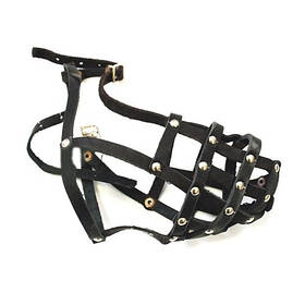 Намордник для собак Canem Шкіряний намордник довжина 7 см, обхват 29 см, Спаніель