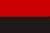 Маленький Прапорець УПА на паличці, розмір: 22х14 см, Прапор ОУН, атлас, фото 3