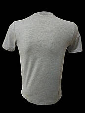 Футболка чоловіча Jordan Туреччина, фото 4