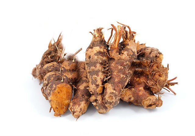 Гейлер туралы жаңа бейнені қараңыз