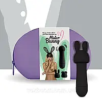 Міні-Вібратор FeelzToys Mister Bunny Black с двумя насадками