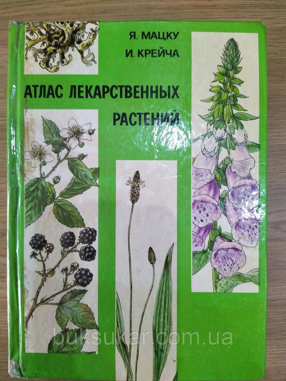 Мацку Я., Крейча І. Атлас лікарських рослин б/у, фото 1