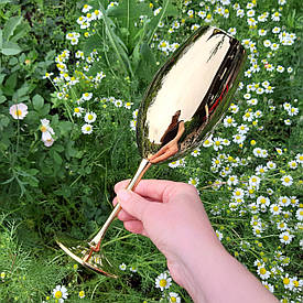 Келих 1 шт Bohemia Milvus (Barbara) 630 мл золото 1SD22_640