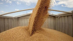 За февраль Украина экспортировала рекордный объем зерна
