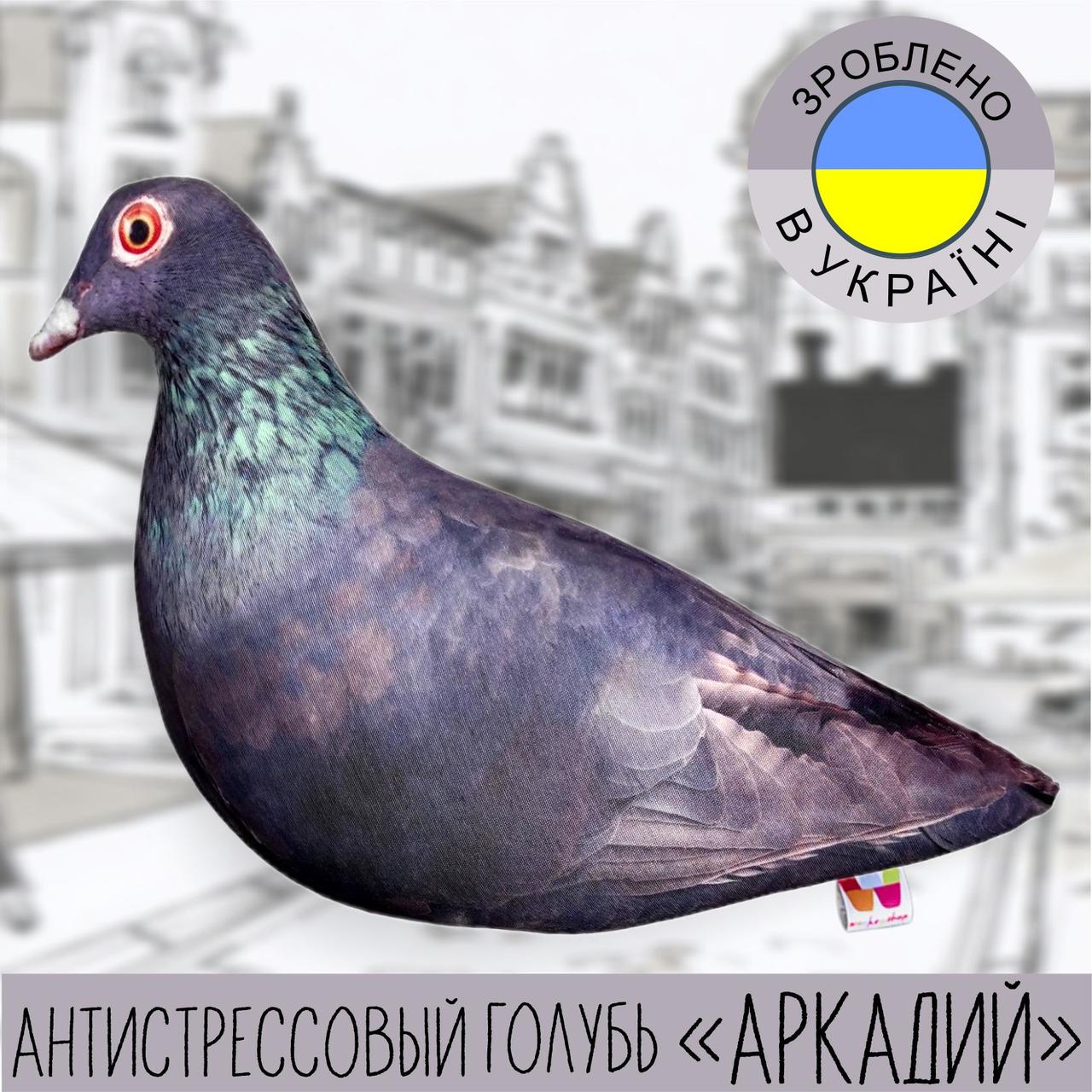 М'яка іграшка 30см/подушка - антистрес - "Голуб АРКАДІЙ" дитяча іграшка,іграшка для дітей,іграшка птах, фото 1