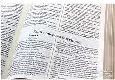 Біблія Геце замінює золотий зріз канонічного блакитного кольору з оливкою російською мовою, фото 6