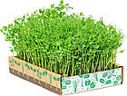 Льняний килимок для вирощування мікрозелені мікрогрін, фото 6