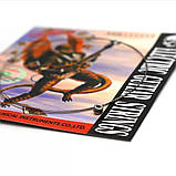 Струна Alice 009 струни НІЧОВІ для електрогітари акустичної гітари, фото 2