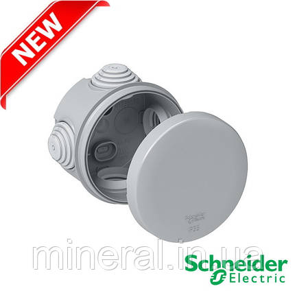 Коробка розподільна відкритого встановлення 80Х40, IP55, Розподільна коробка, Schneider Electric, фото 2