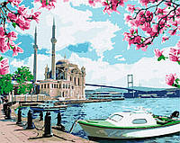 Картина за номерами. "Яскравий Стамбул" Ідейка KHO2757 40х50 см топ