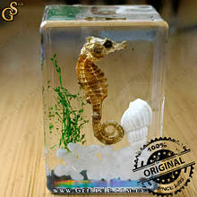 Морський коник в акрилі Sea Horse подарунокна упаковка