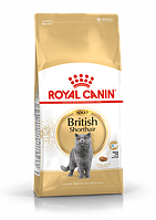 Royal Canin British Shorthair сухой корм для кошек породы британская короткошерстная - 4 кг