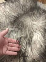 Волосся ісландської вівці на шкірці. Од. вимірювання 5*10 см Довжина волосся 14-20 см.
