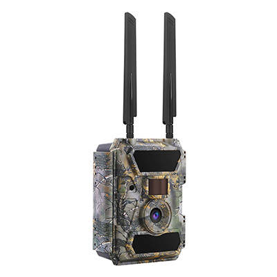 Фотоловички