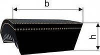 Ремень вариаторный 68х24 -2600Lw, (2485Li) зуб Endura индия