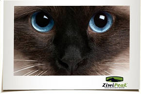 Ziwi peak - натуральний корм для кішок висушений на повітрі
