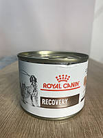 Консерви Royal Canin Recovery для кішок і собак, 195 г