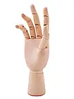 Модель " Дерев'яна Рука " 18 см, права