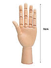 Модель " Дерев'яна Рука" 18 см, ліва