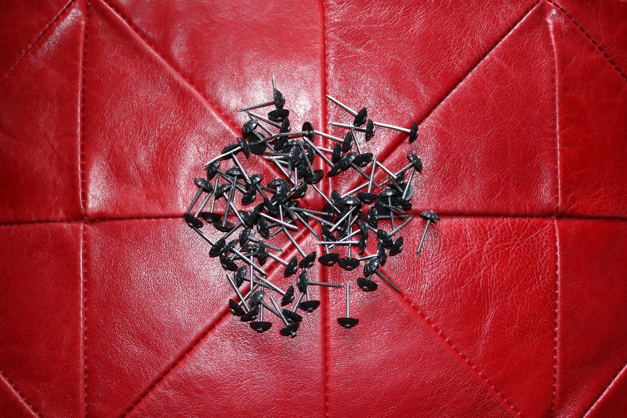 Цвяхи декоративні оббивні з пластикової капелюшком 1,6*25,5 Україна, фото 1