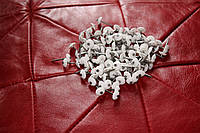 Цвяхи декоративні оббивні з пластикової капелюшком 1,6*25,5 Україна, фото 4