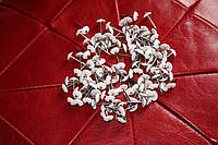 Цвяхи декоративні оббивні з пластикової капелюшком 1,6*25,5 Україна, фото 5