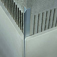 Профиль алюминиевый PROFILITEC FILOJOLLY угловой для плитки 2700х10 мм хром
