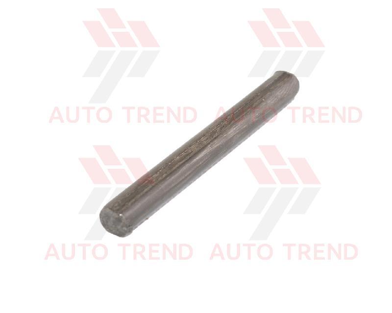 Вісь петлі двері ВАЗ 2108 2109 21099 2114 2115