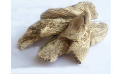 Молочай корінь 50 грамм