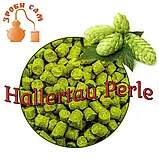 Хміль Hallertau Perle (Німеччина) 100г. Халлертау Перле, фото 4