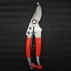 Дім, сад, туризм