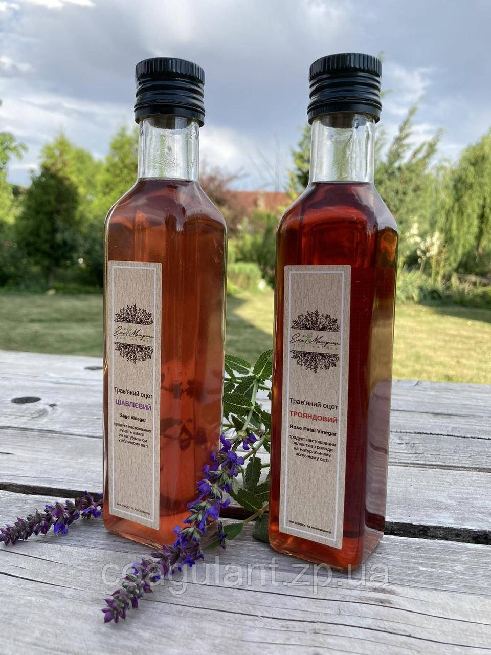 Трав'яний оцет Шавлієвий Sage Vinegar 250 мл