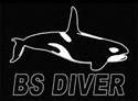 Таблиці для записів BS DIVER