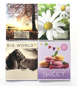 Зошит (48 арк. #) "Тетрада" 10/200