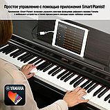 Цифрове піаніно YAMAHA YDP-164R (Пюпітр, блок живлення, банкетка, педалі), фото 4