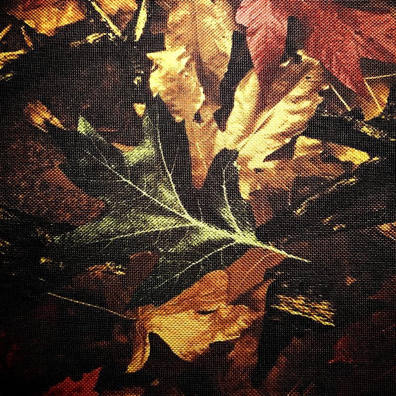 Тканина Оксфорд на основі ПВХ, принт (50 м).