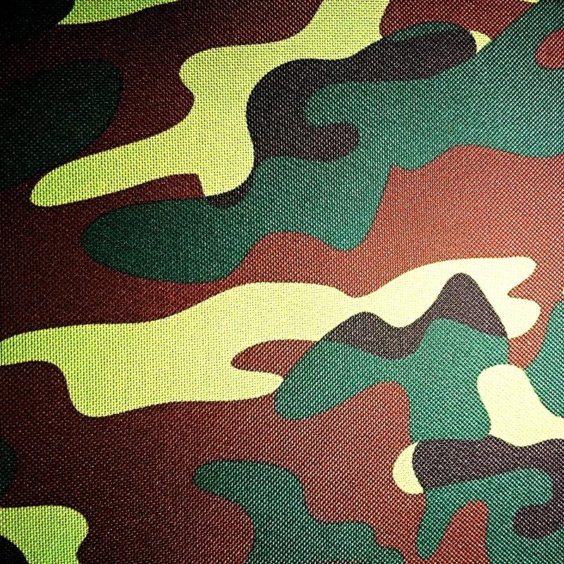 Тканина Оксфорд на основі ПВХ, принт (50 м).