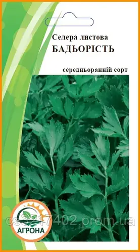Купить Сельдерей листовой БОДРОСТЬ 0,25 гр., цена 5.50 ₴ — Prom.ua (ID ...