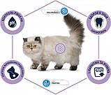 Сухой корм для стерилизованных котов Advance Sterilized Hairball с индейкой 1.5 кг, фото 7
