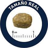 Сухой корм для стерилизованных котов Advance Sterilized Hairball с индейкой 1.5 кг, фото 6