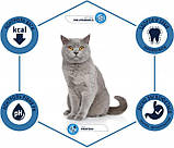 Сухой корм для стерилизованных котов и кошек Advance Sterilized 400 г, фото 3