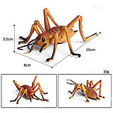 Розвиваючий набір фігурки Комахи (6 шт) від Obetty, фото 5