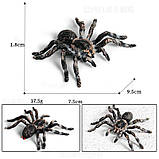 Розвиваючий набір фігурки Комахи (6 шт) від Obetty, фото 6