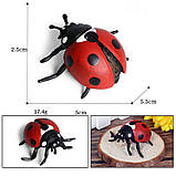 Розвиваючий набір фігурки Комахи (6 шт) від Obetty, фото 7