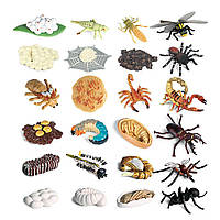 Развивающий игрушечный набор для детей 24 фигурки Жизненный цикл насекомых от Obetty