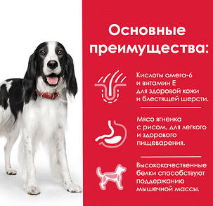 Hill's Adult Medium Breed Lamb & Rice, 14 кг., фото 3