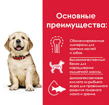 Hill's Puppy Large Breed Chicken, 14.5 кг., фото 5