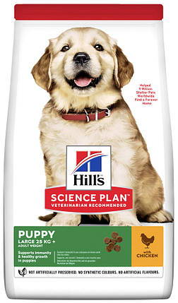 Hill's Puppy Large Breed Chicken, 14.5 кг., фото 1
